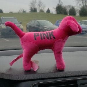 Pink dog
